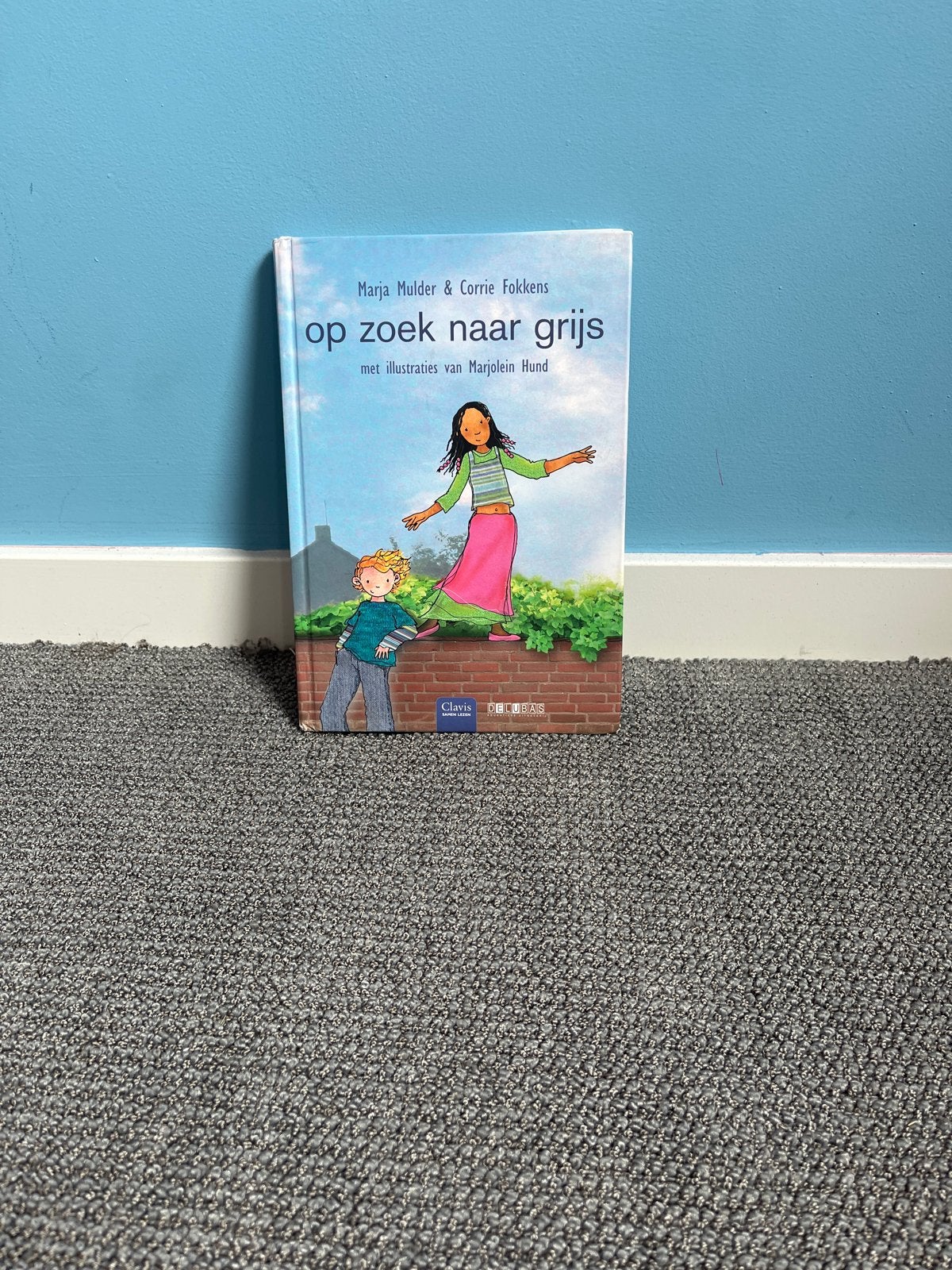 Op zoek naar grijs - Marja Mulder & Corrie Fokkens, Ophalen, Zo goed als nieuw, Fictie algemeen