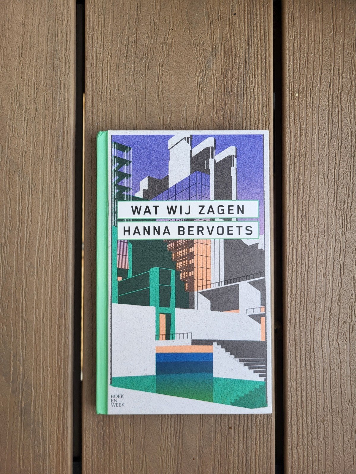 Hanna Bervoets - Wat wij zagen, Boeken, Ophalen of Verzenden, Zo goed als nieuw, Hanna Bervoets