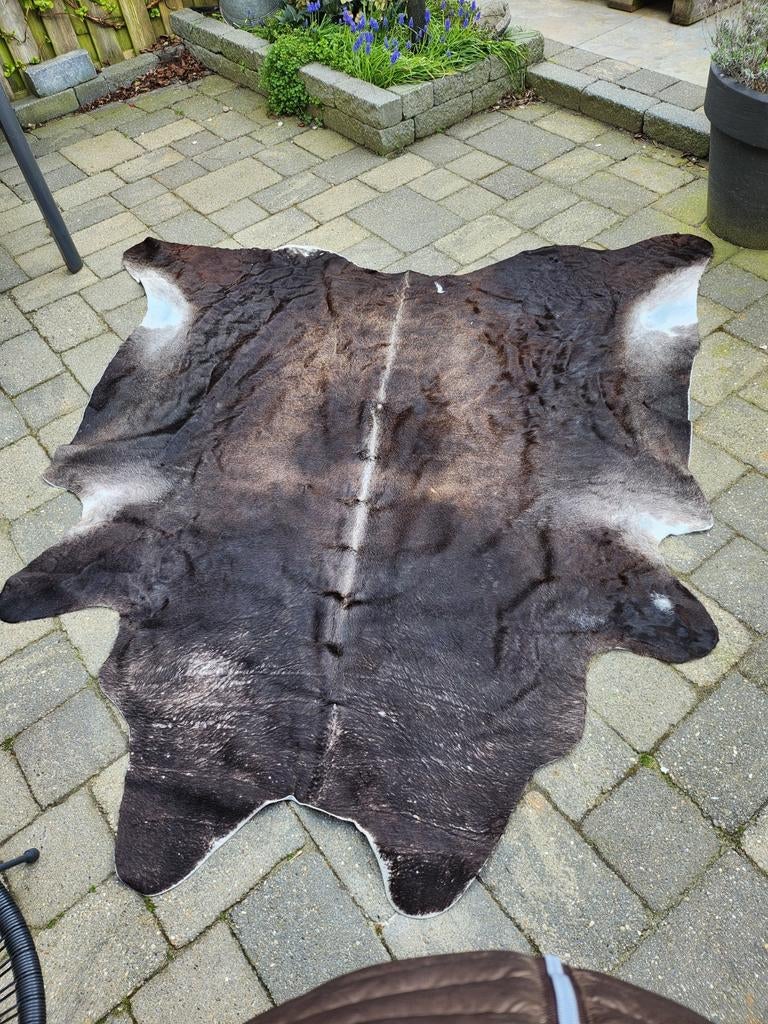 Koeienhuid - Gebruikt maar in goede staat, Ophalen, Gebruikt, Natuurlijk, Rustiek, 200 cm of meer
