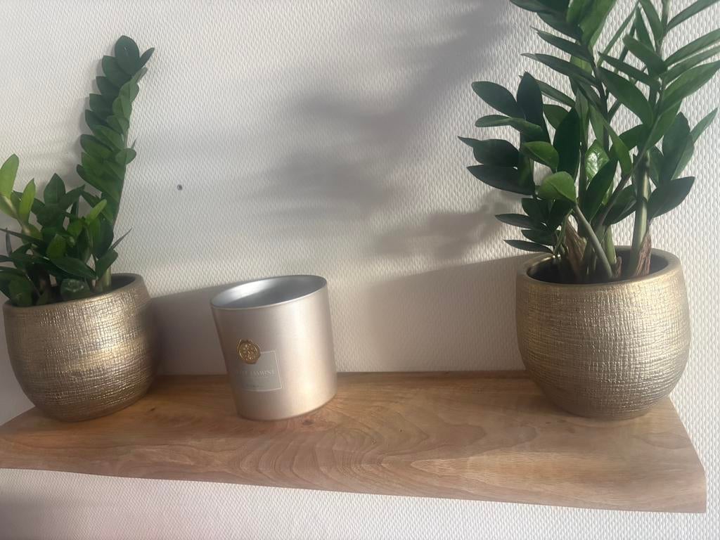 Mango houten wandplank, Ophalen, Zo goed als nieuw