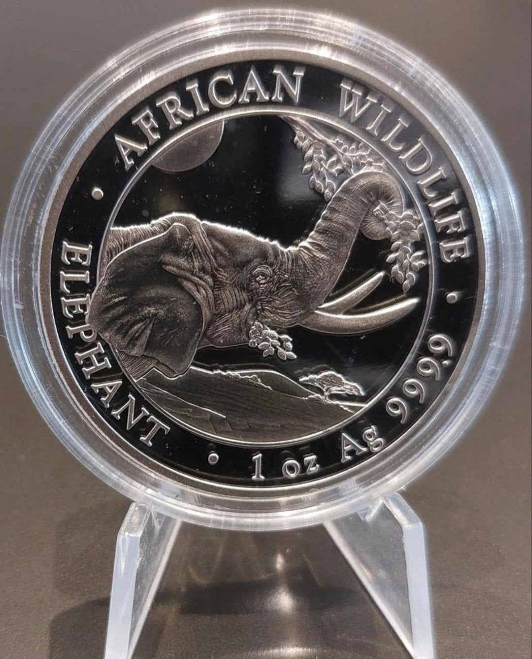 1 oz Zilveren African Wildlife Elephant Munt, Postzegels en Munten, Verzenden