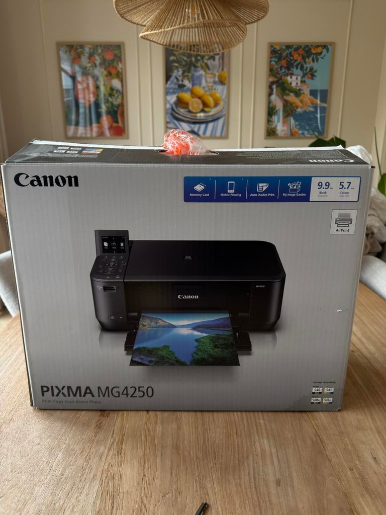 Canon Pixma MG4250 All-in-One Printer met doos, Computers en Software, Printers, Inkjetprinter, All-in-one, Kleur printen, Ophalen of Verzenden