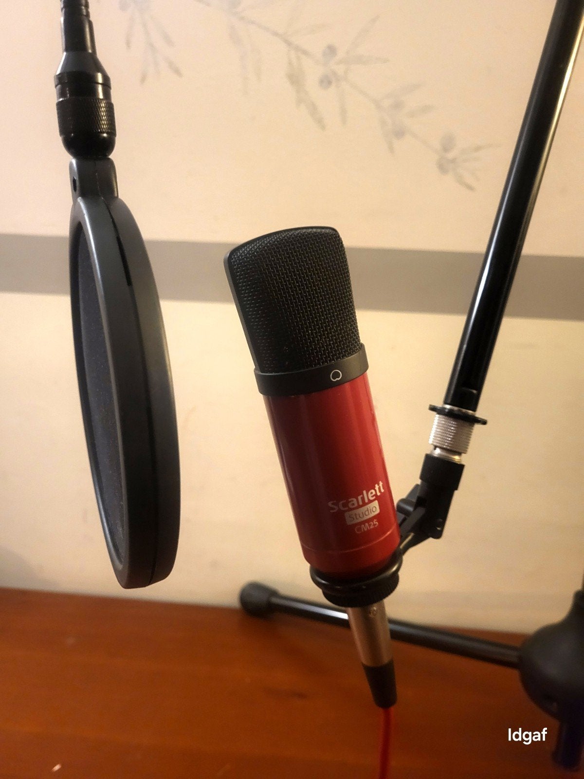 Focusrite Scarlett Studio CM25 Microfoon met Samson Statief, Ophalen of Verzenden, Zo goed als nieuw, Studiomicrofoon