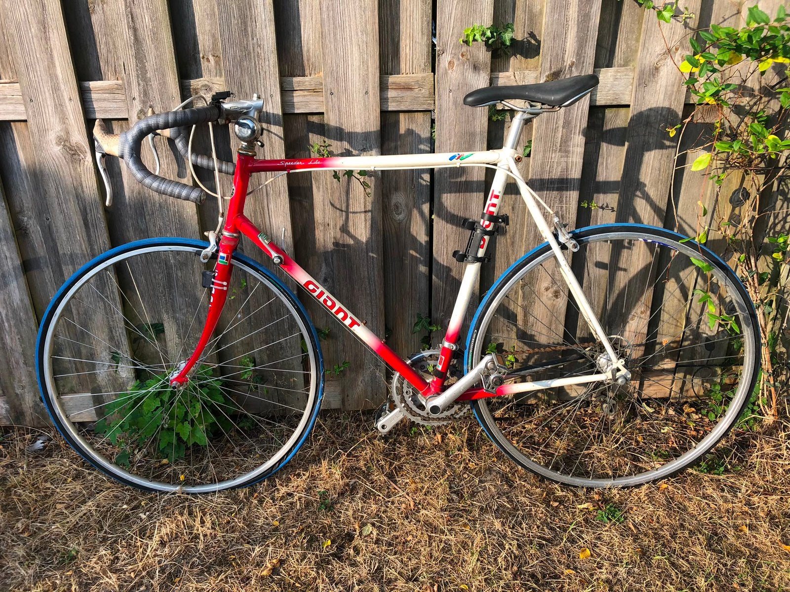 Vintage Giant Racefiets, Ophalen, Zo goed als nieuw