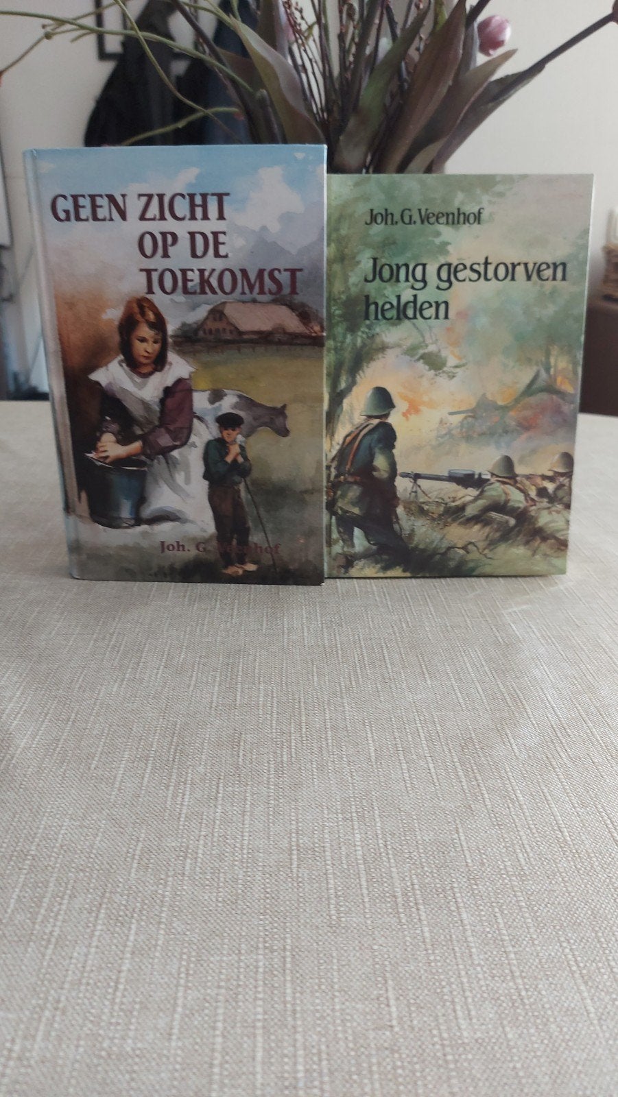 2 boeken van Joh. G. Veenhof: Geen Zicht op de Toekomst & Jo, Gelezen, Niet van toepassing, Ophalen of Verzenden, Joh. G. Veenhof