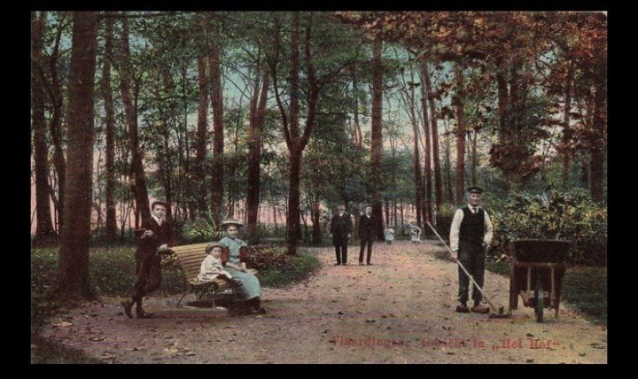 Vlaardingen Gezicht in ,,Het Hof''. met tuinman aan het werk, Verzenden, Voor 1920, Ongelopen, Zuid-Holland
