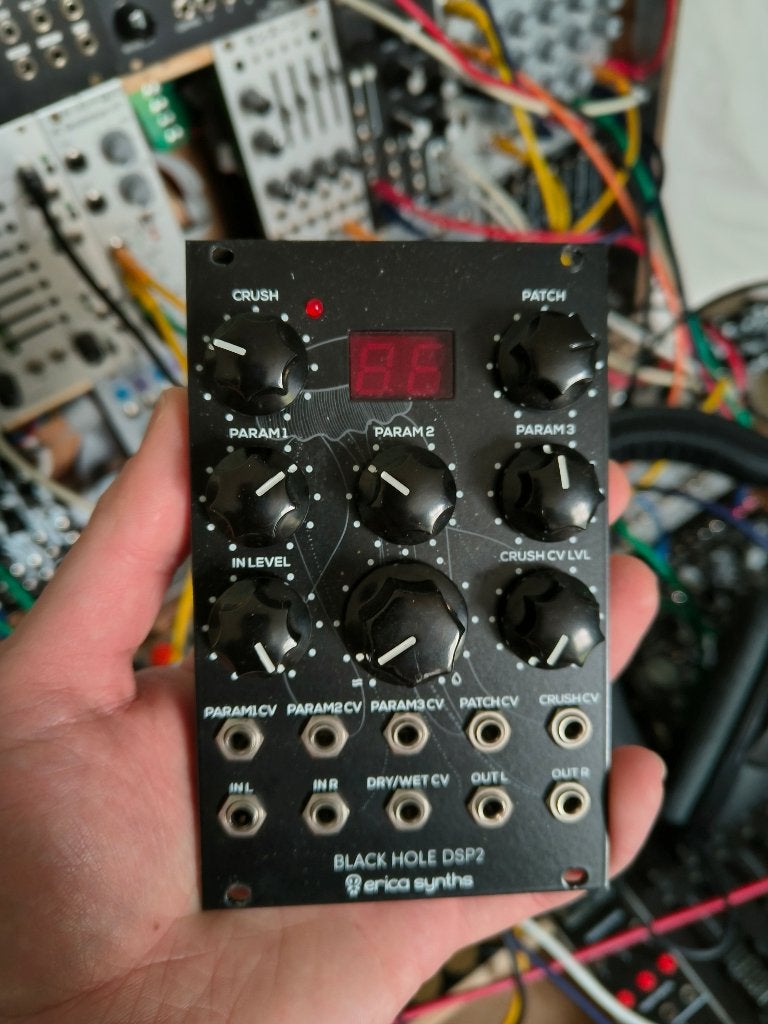 Erica Synths Black Hole DSP2 eurorack, Ophalen of Verzenden, Zo goed als nieuw, Overige aantallen, Overige merken