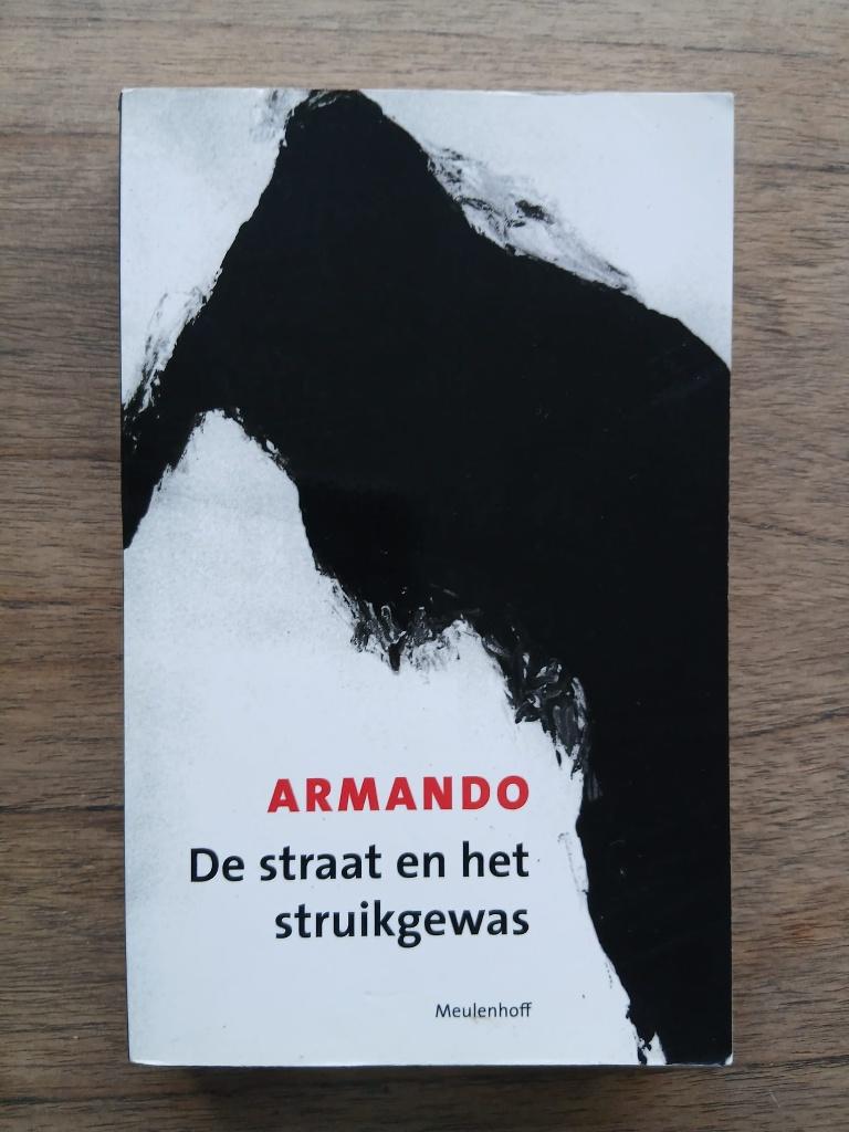 De straat en het struikgewas door Armando, Boeken, Ophalen of Verzenden, Gelezen, Armando