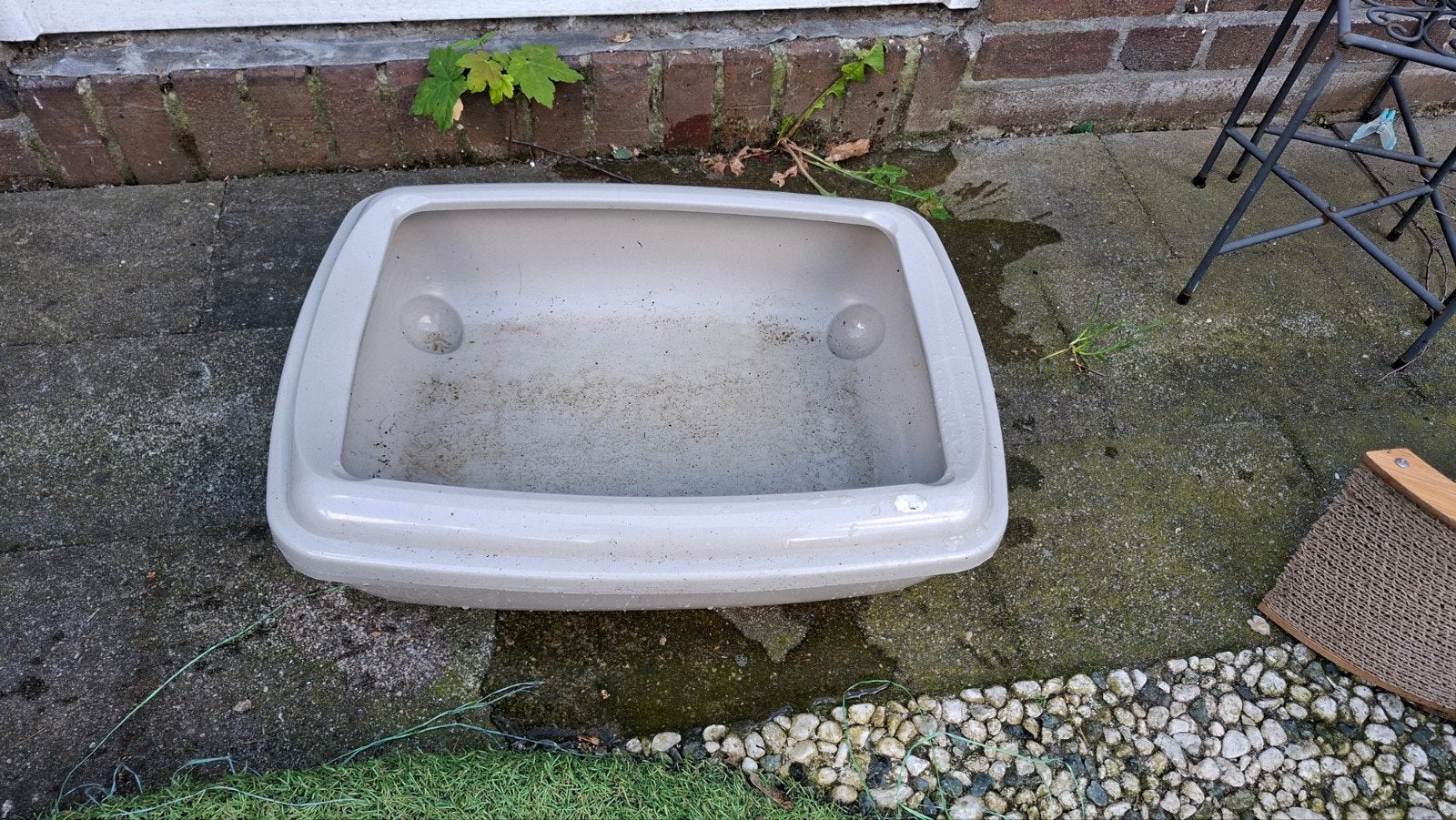 Kittenbak, Dieren en Toebehoren, Ophalen of Verzenden