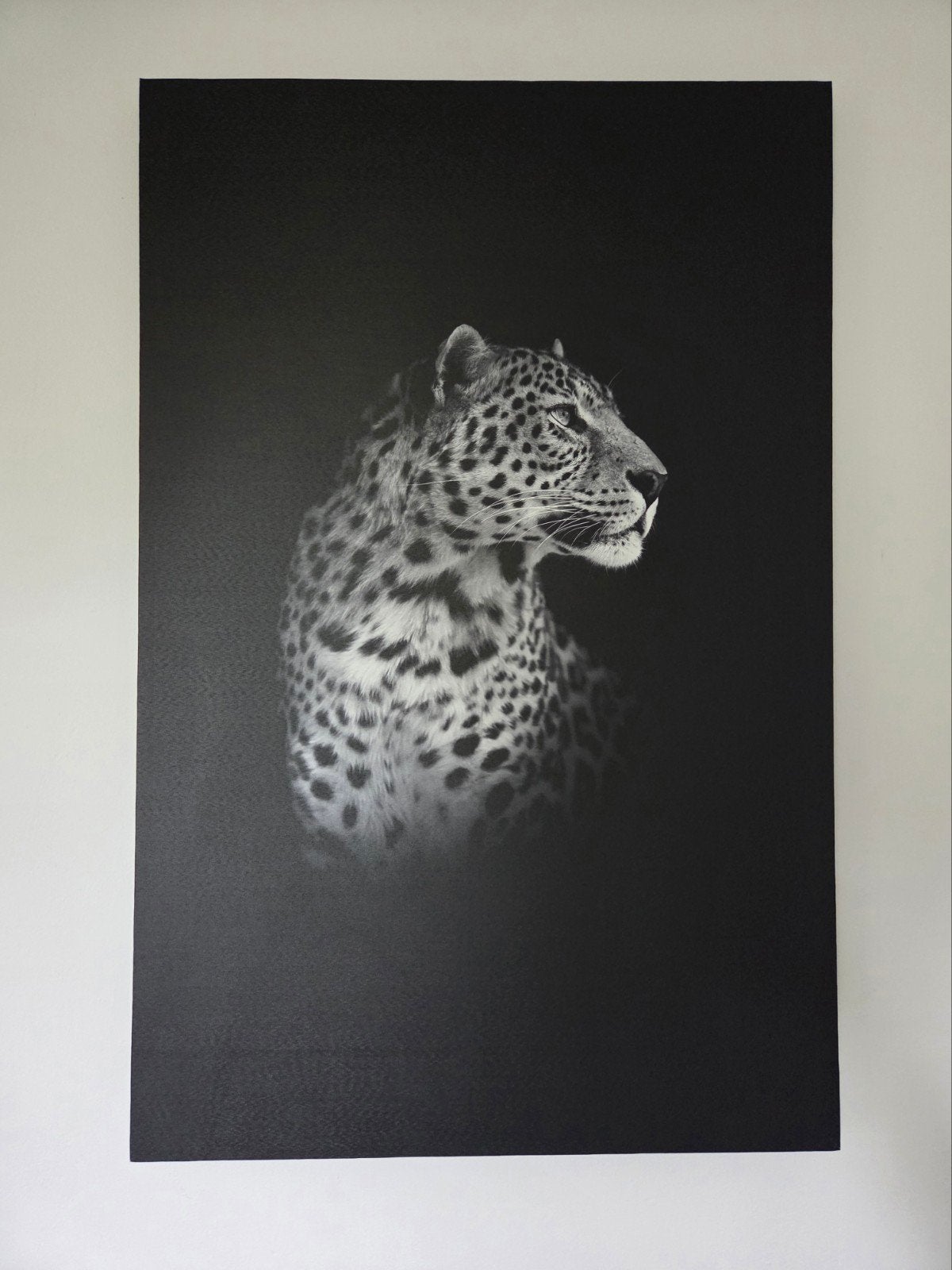 Schilderij luipaard zwart-wit op canvas, Ophalen, Zo goed als nieuw, 75 tot 100 cm, Schilderij