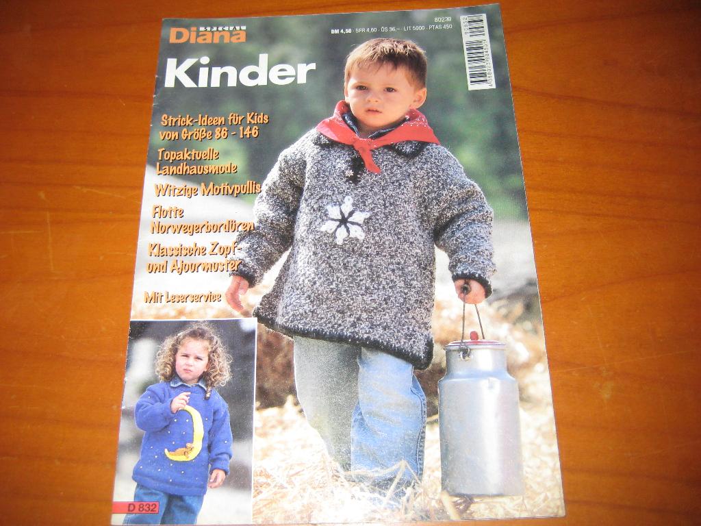Diana Kinder: Strick-Ideen in 86-146, Boeken, Ophalen of Verzenden, Zo goed als nieuw, Breien en Haken