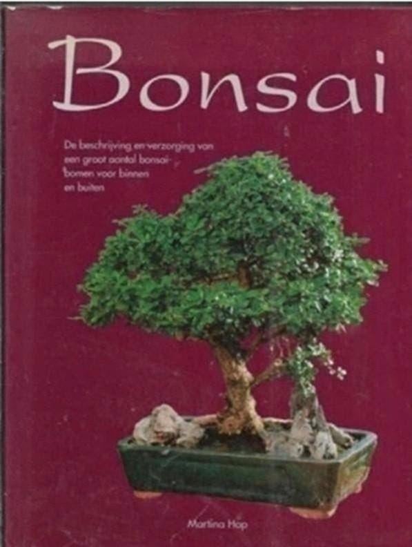 Martina Hop Bonsai, Ophalen of Verzenden, Zo goed als nieuw, Kamerplanten