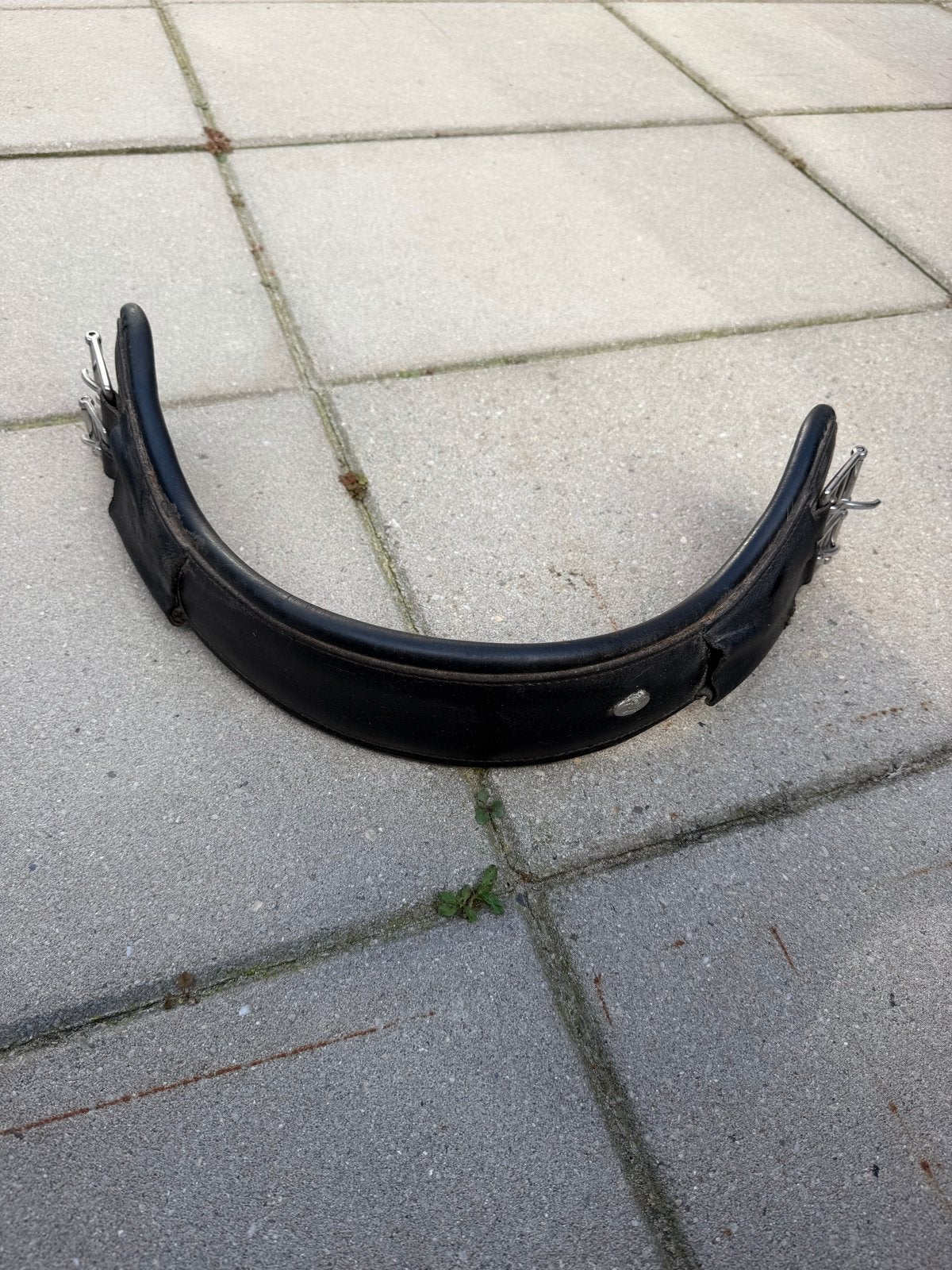 Leren singel, Dieren en Toebehoren, Ophalen of Verzenden, Dressuur