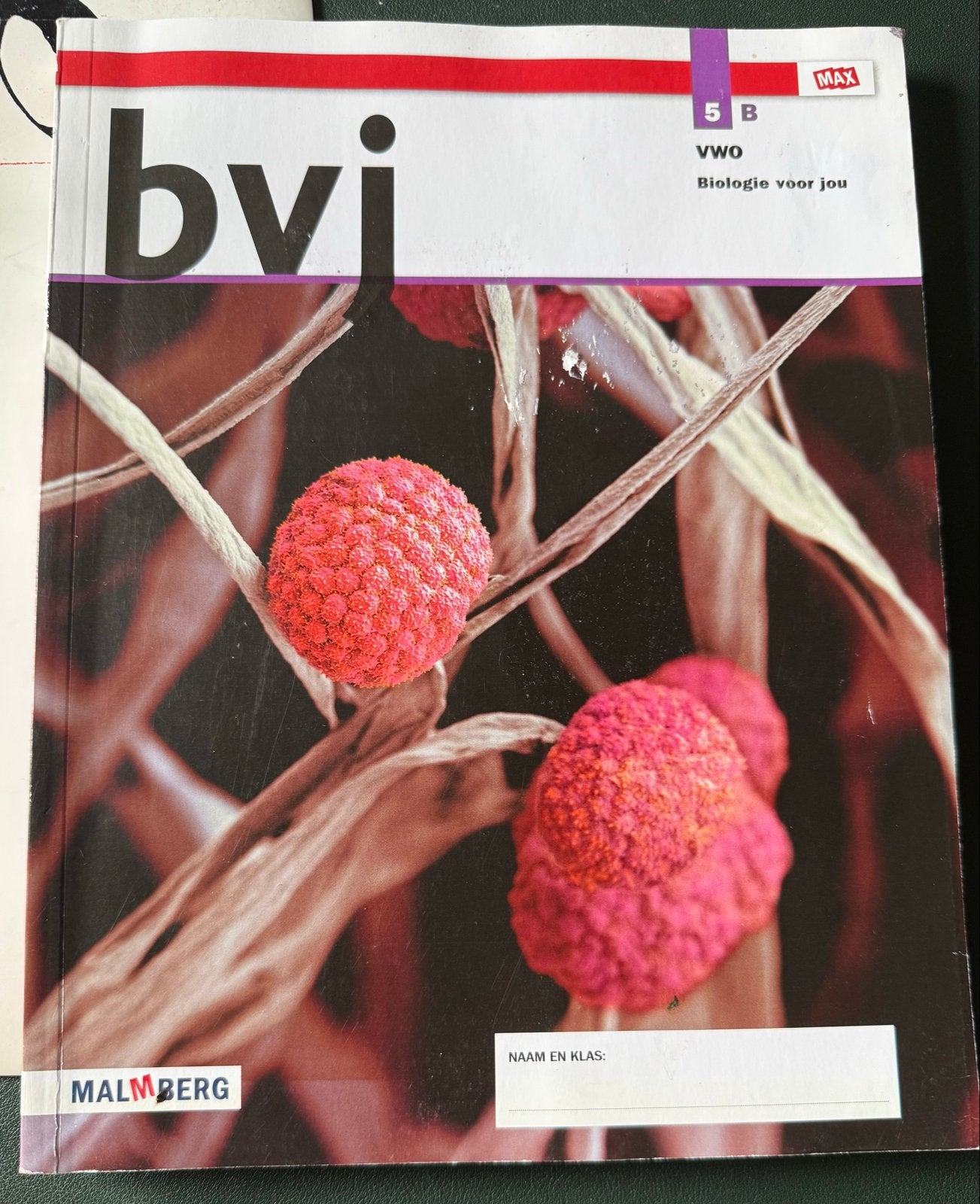 BVJ Biologie voor jou 5 VWO (deel A en B), Boeken, Ophalen of Verzenden, Gelezen, VWO, Biologie