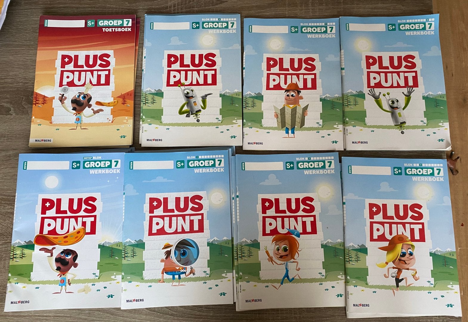 Pluspunt groep 7 S+ (toetsboek en werkboeken), Ophalen of Verzenden, Nieuw, Overige niveaus