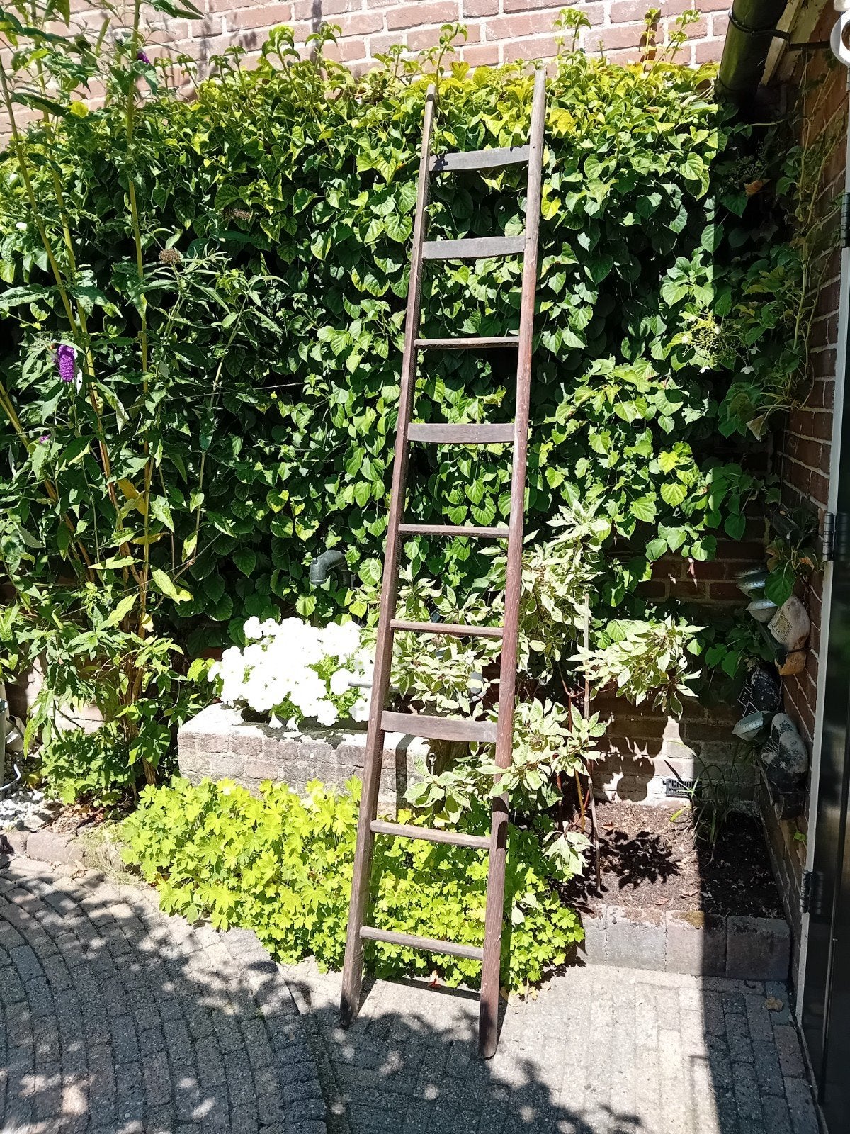 Pluk ladder, Ophalen