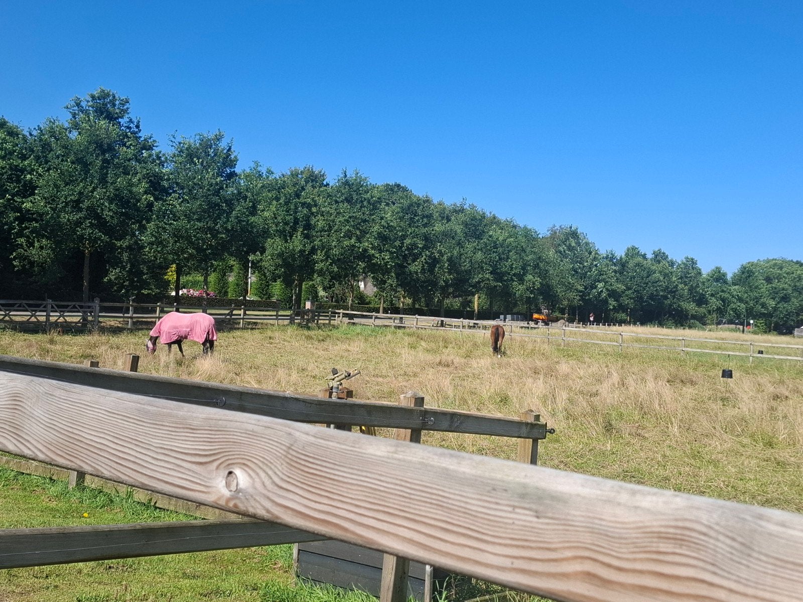 kleinschalige stalling aangeboden te Ermelo, Stalling