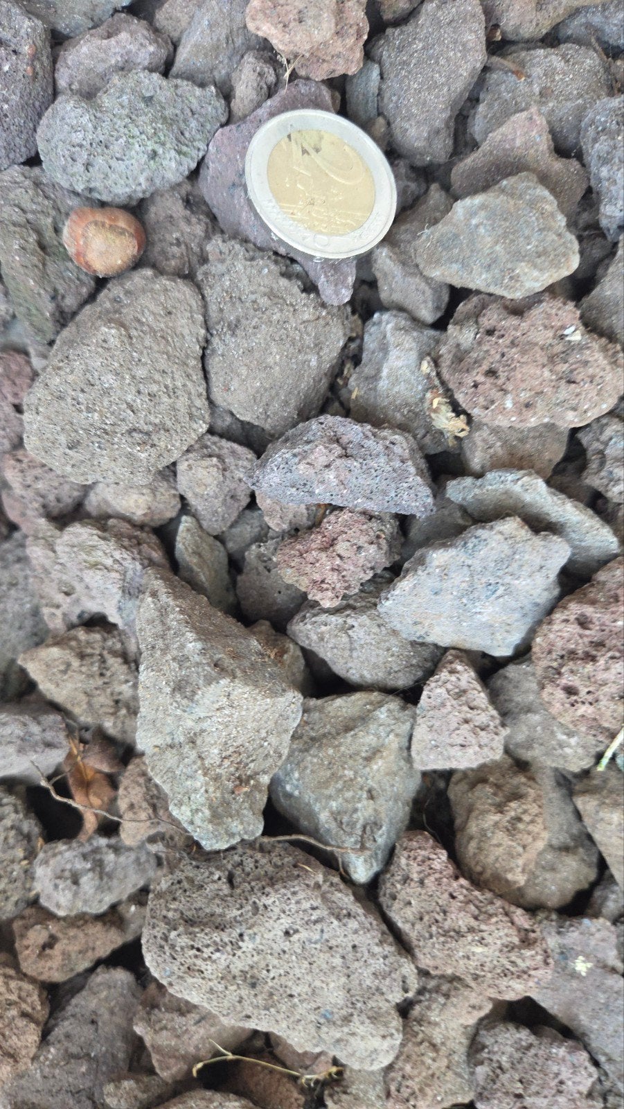 Lava stenen voor tuin of decoratie, Tuin en Terras, Ophalen, Gebruikt, Bruin, Kei