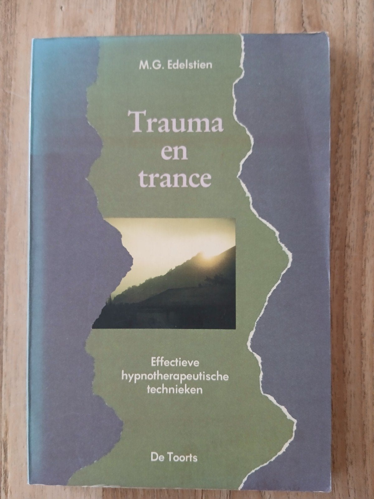 Trauma en trance Boek, Boeken, Ophalen, Overige religies, Zo goed als nieuw, M.G. Edelstien