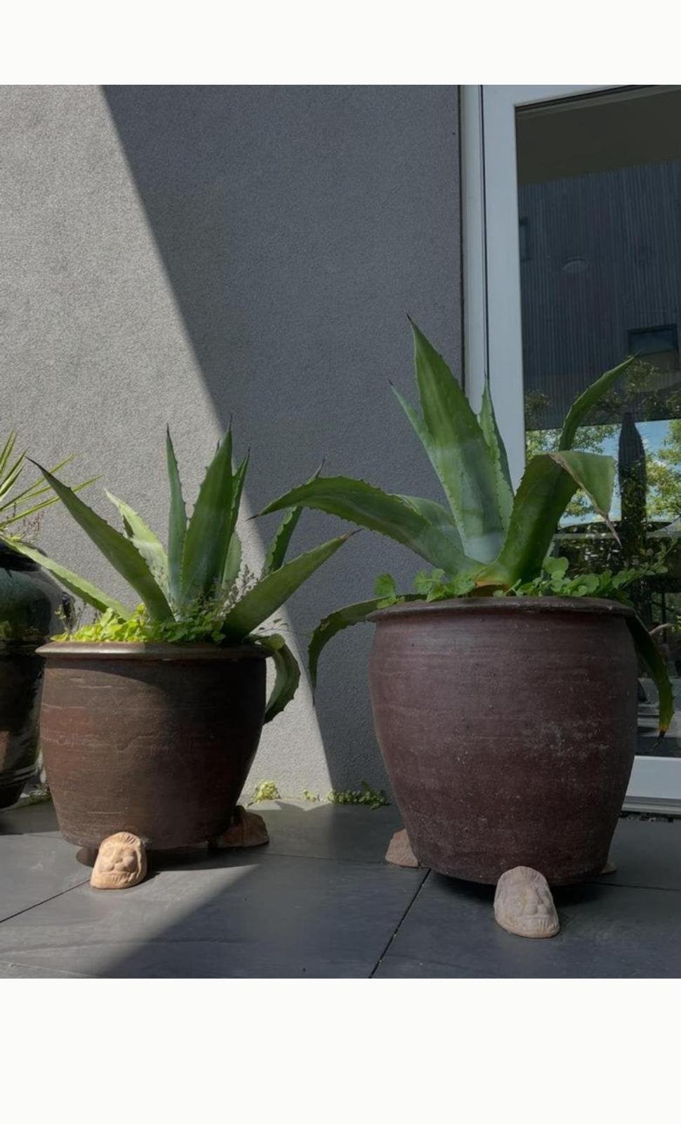 Grote terracotta bloempotten met Agave planten, Tuin en Terras, Bloempotten, Rond, Zo goed als nieuw, Balkon, Terracotta
