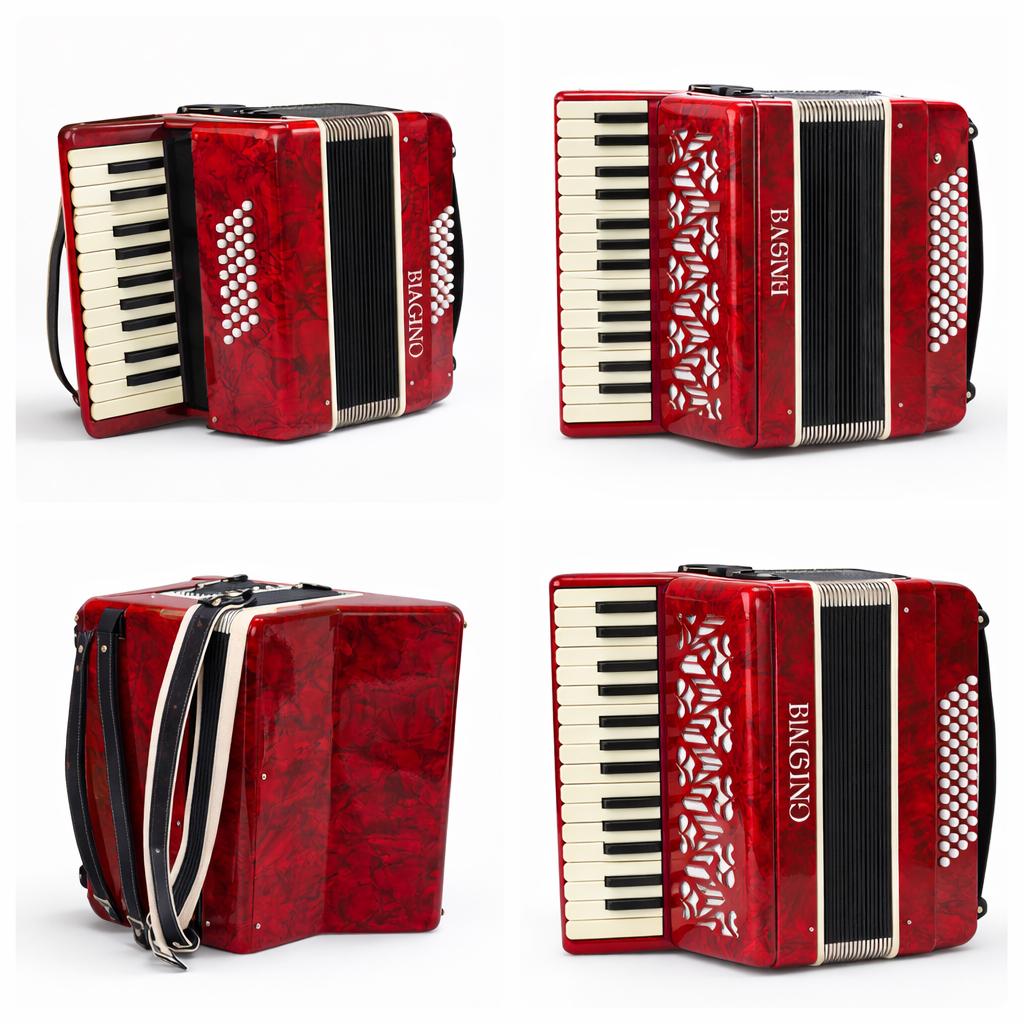 Biagino Accordeon - Prachtig instrument!, Muziek en Instrumenten, Accordeons, Overige merken, Gebruikt, Met riemen, Overige formaten