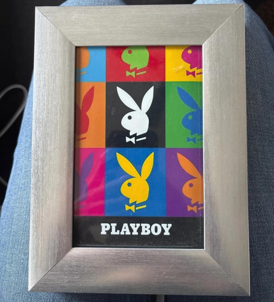 Playboy konijn logo pop art lijstje, Ophalen of Verzenden, Zo goed als nieuw, Metaal of Aluminium, Minder dan 50 cm