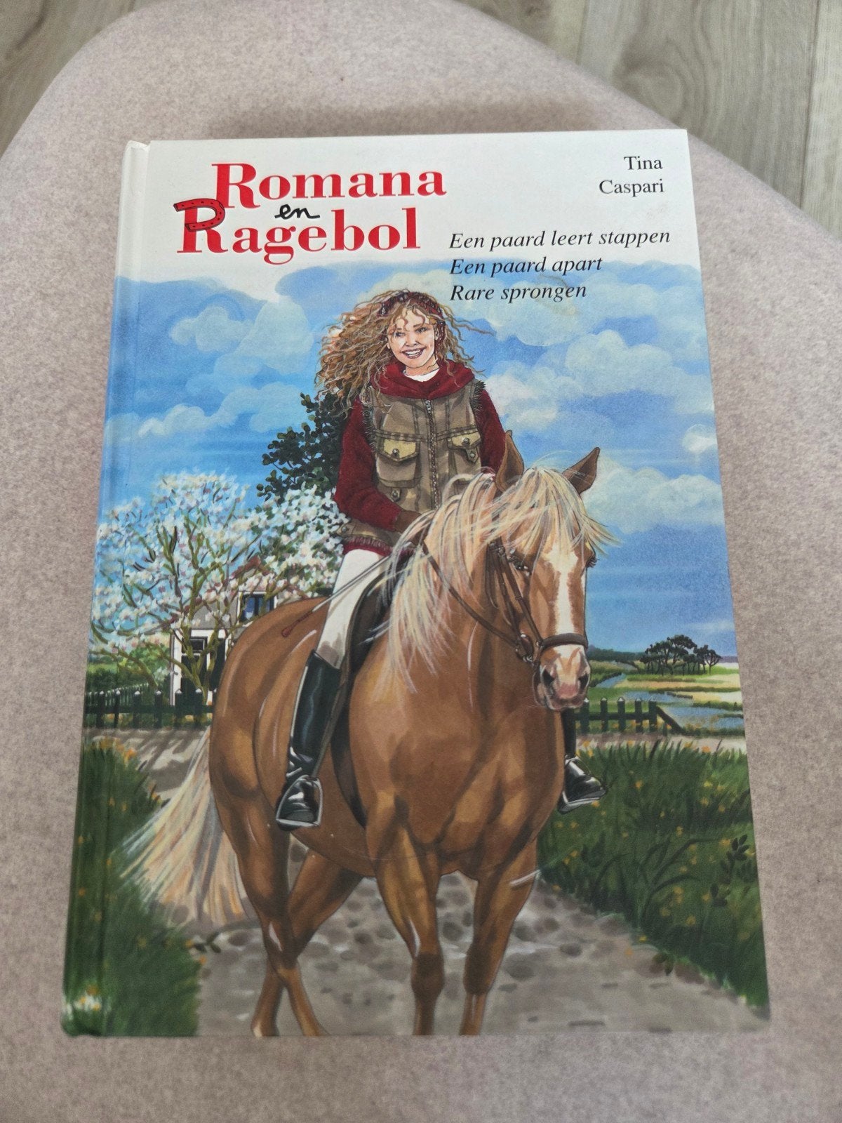 Romana en Ragebol - Een paard leert stappen, Boeken, Ophalen of Verzenden, Gelezen, Tina Caspari, Fictie algemeen