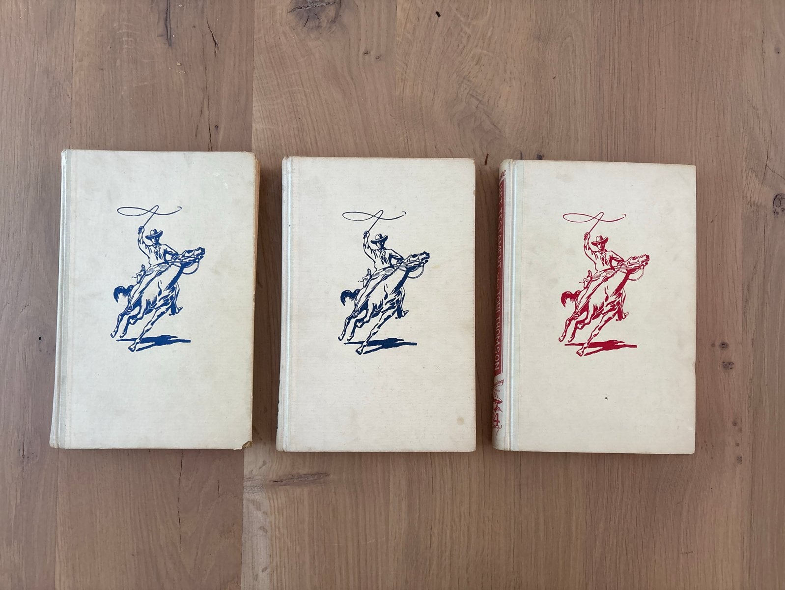 Arendsoog boeken - 3 delen, Boeken, Ophalen of Verzenden, Gelezen, Nederland