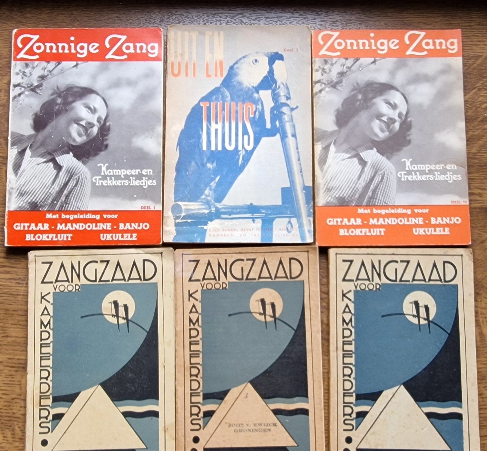 Zonnige Zang & Zangzaad Kampeerliederen, Ophalen of Verzenden, Gelezen, Overige onderwerpen, Diverse Auteurs
