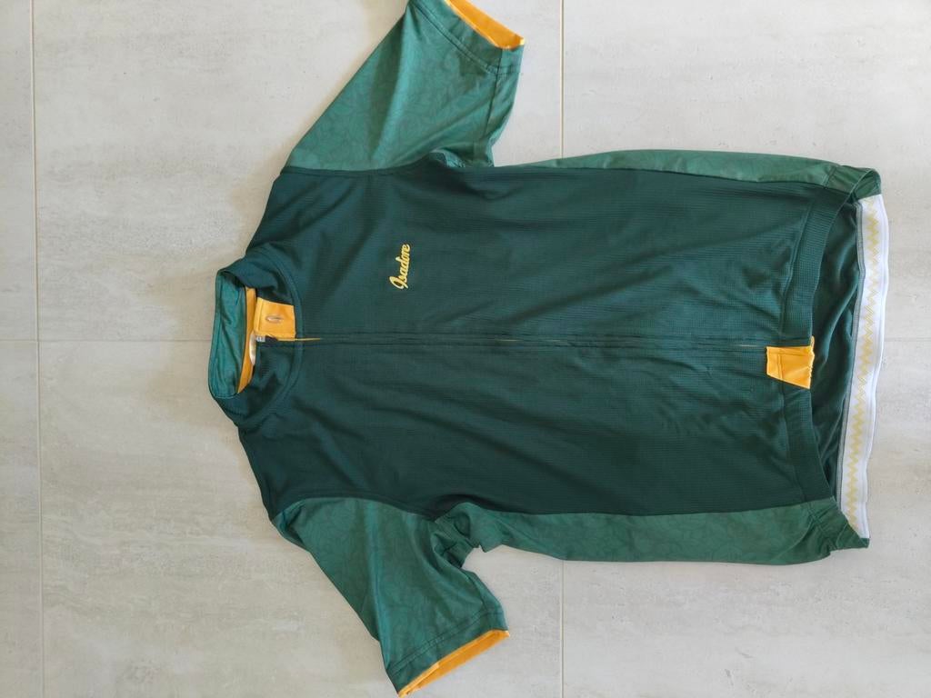 Isadore fiets shirt maat L groen met gele details, Overige merken, Gebruikt, Heren, Ophalen of Verzenden