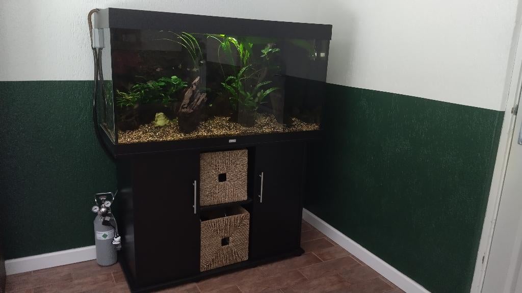 Juwel Rio 350 + Fluval Aquasky 2.0 en Plant 3.0 verlichting, Ophalen, Zo goed als nieuw, Juwel, Inclusief deksel