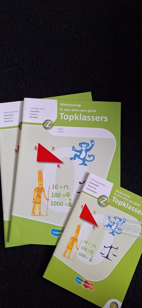 Topklassers Zelfstandig Werken Zaakvak Groep 5/6, Ophalen of Verzenden, Zo goed als nieuw, Overige niveaus, Overige vakken