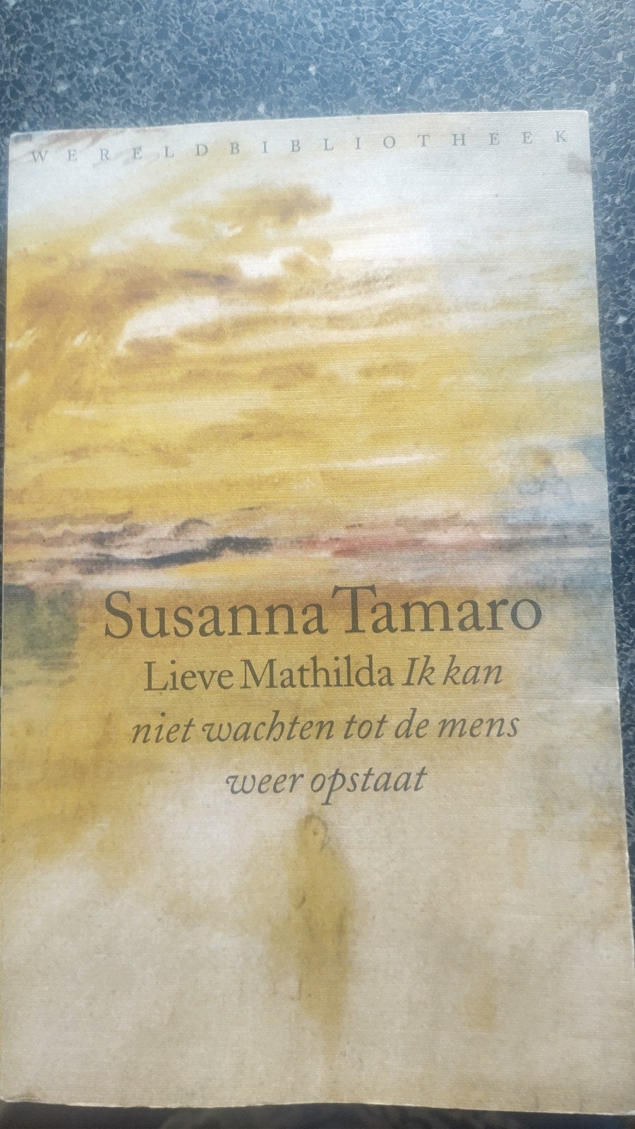 S. Tamaro - Lieve Mathilda, Ophalen of Verzenden, Zo goed als nieuw, S. Tamaro