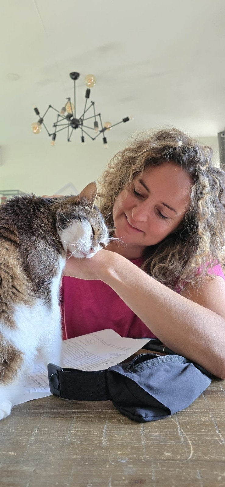 Katten oppas aangeboden omgeving rosmalen/den bosch, Dieren en Toebehoren, Ophalen