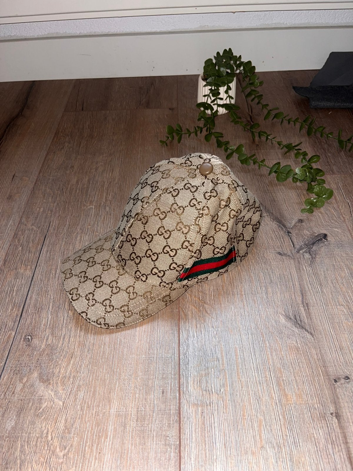 Beige gucci pet, Ophalen of Verzenden, Nieuw, One size fits all, Pet