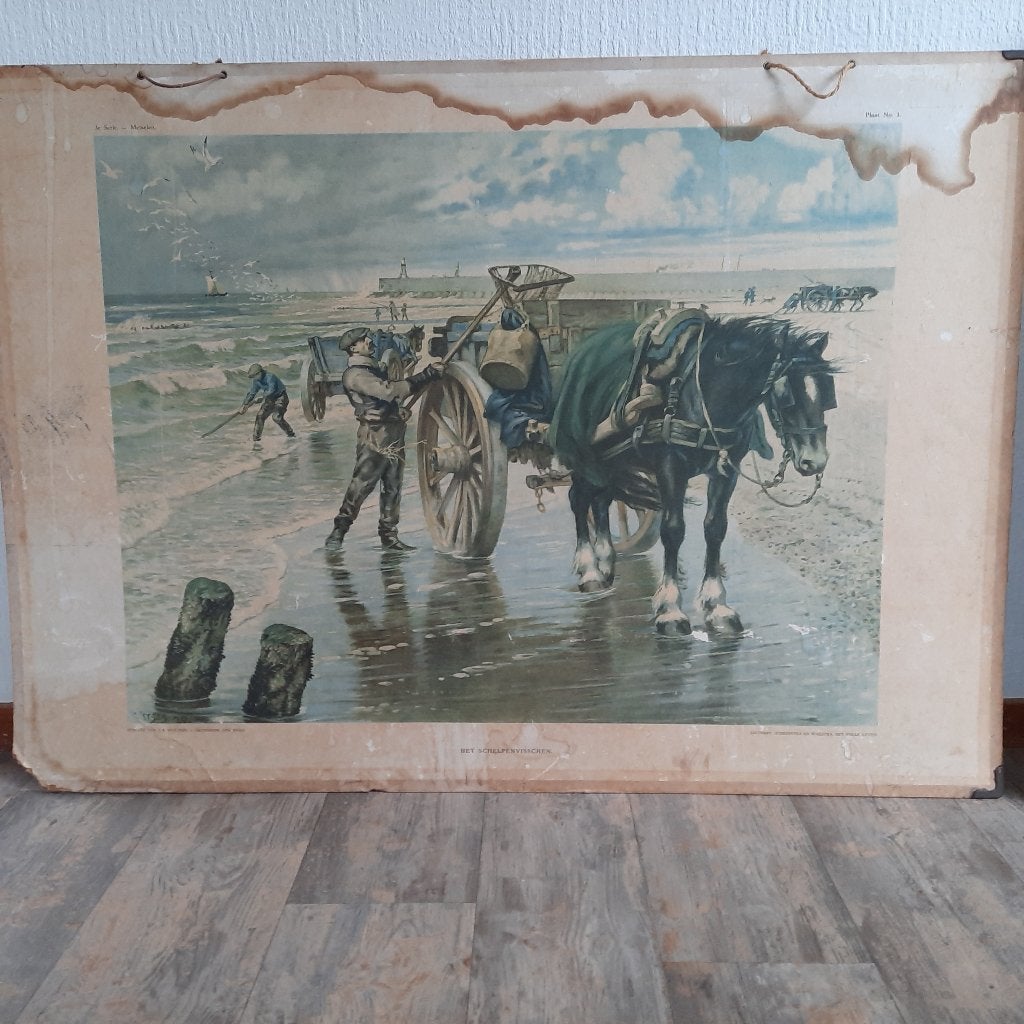 schoolplaten van Malmberg en Wolters, Antiek en Kunst, Ophalen of Verzenden, Aardrijkskunde