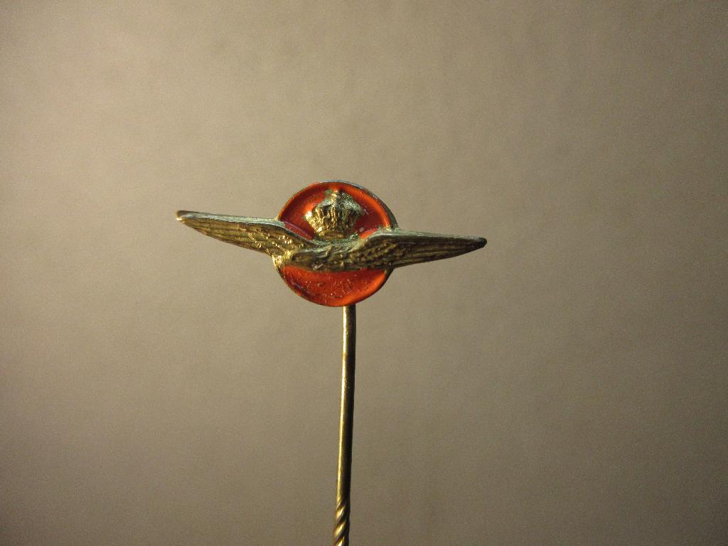 Luchtmacht speldje, Verzamelen, Ophalen of Verzenden, Gebruikt, Overige onderwerpen, Speldje of Pin