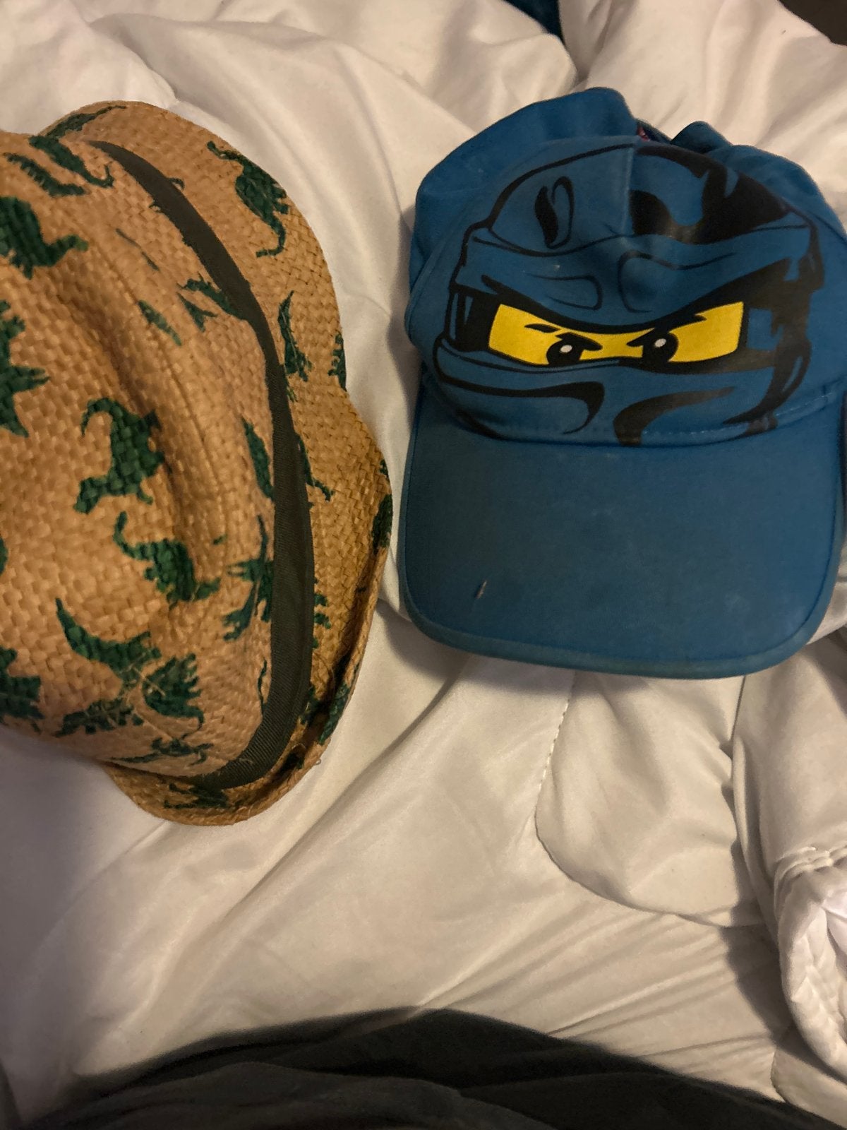Dino hoed en Ninja pet voor kinderen, Ophalen of Verzenden, Gebruikt, Jongetje of Meisje, Hoed