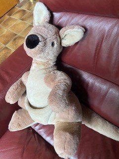 Kangaroe (knuffel), Ophalen, Gebruikt, Overige typen, Middelgroot (20 tot 80 cm)