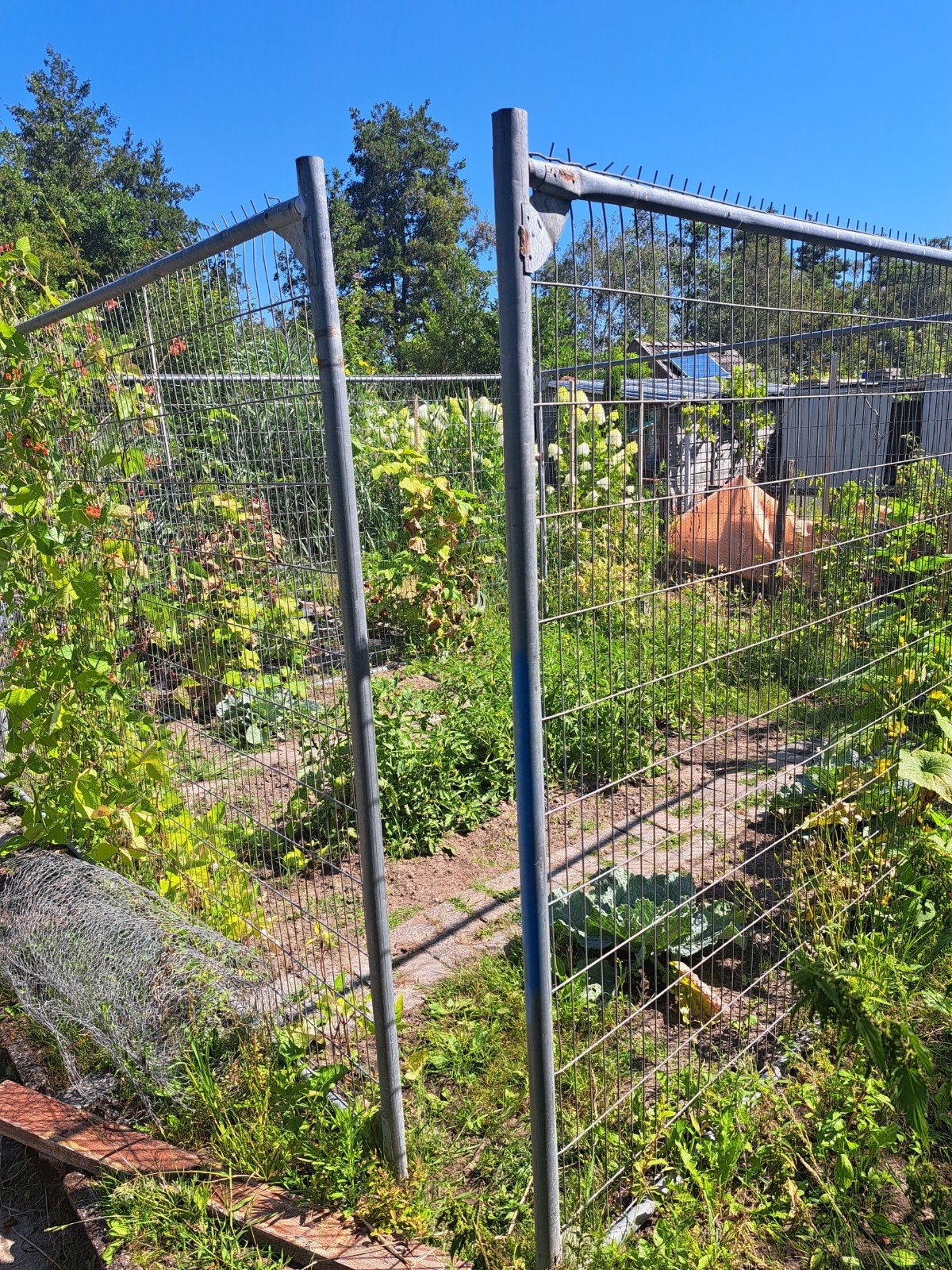 Bouwhekken - Ideaal voor tijdelijke afzettingen, Ophalen, 3 tot 6 meter, IJzer, 1 tot 2 meter