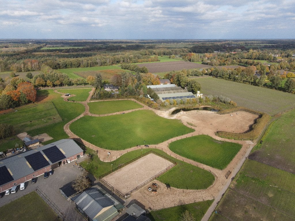 paardenpension Paddock Paradise in Vorstenbosch, Stalling, 1 paard of pony