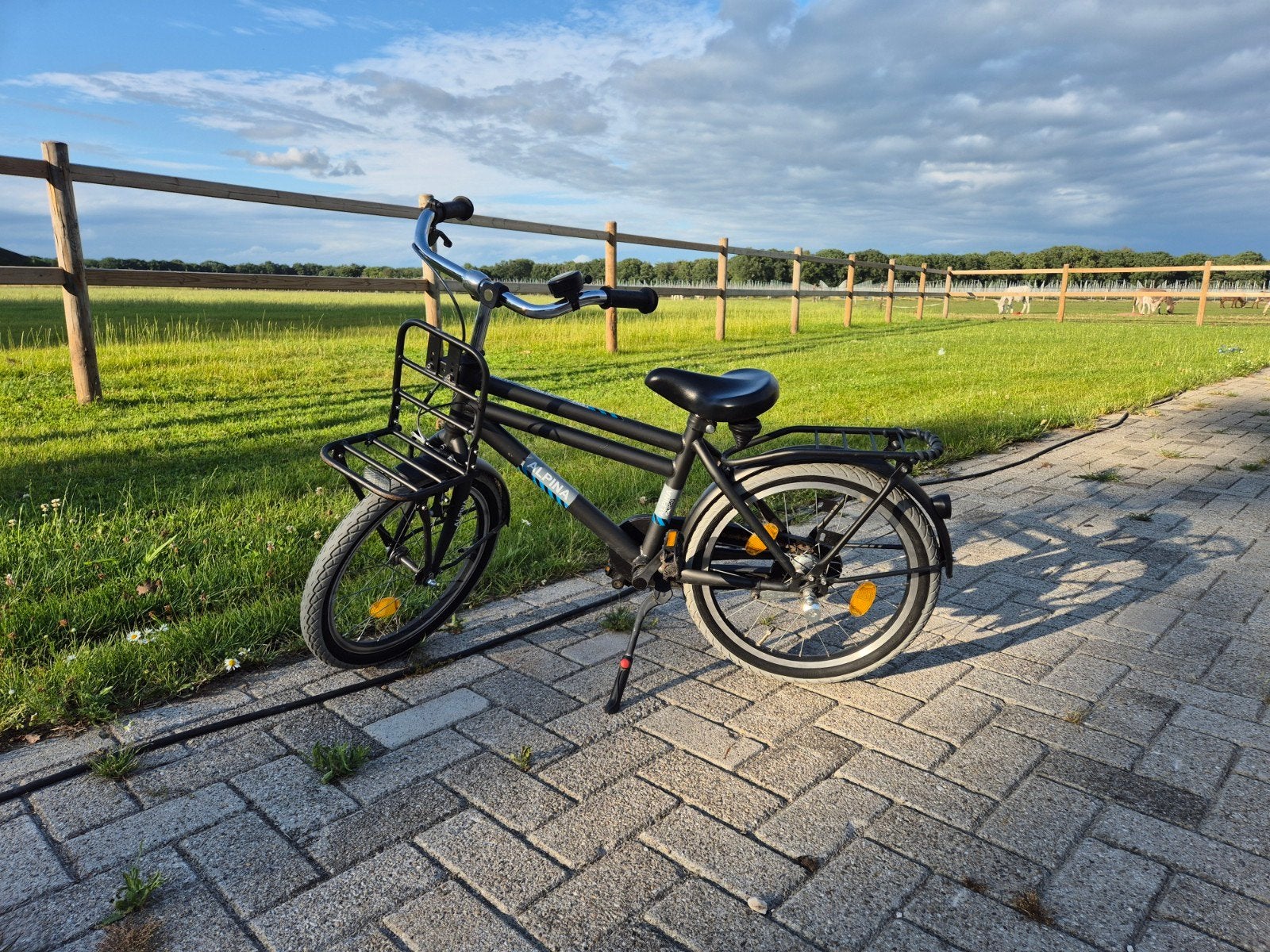 Alpina jongensfiets 18 inch, Ophalen, Gebruikt, 16 tot 18 inch