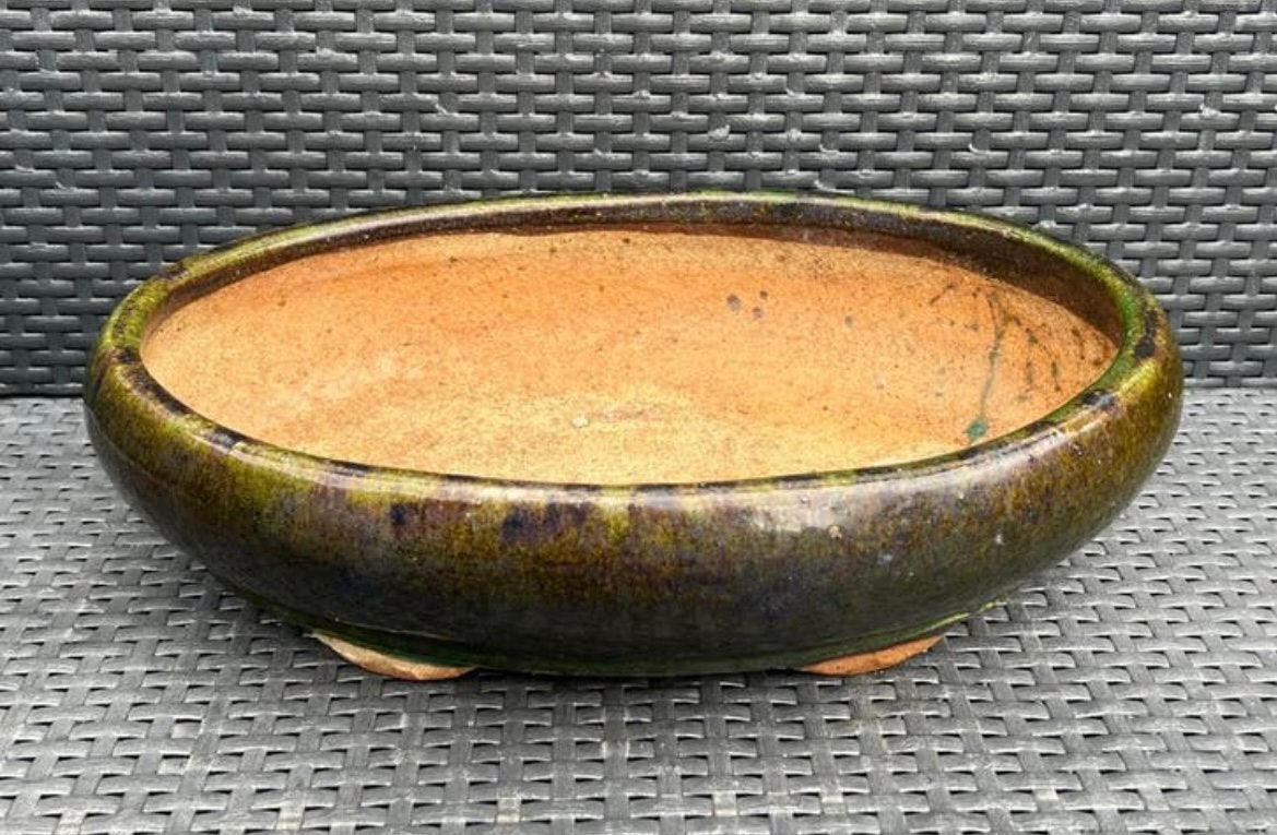 Bonsai schaal oud groen geglazuurd aardewerk 42x28x11,2, 25 tot 40 cm, Ophalen of Verzenden, Zo goed als nieuw, Minder dan 40 cm