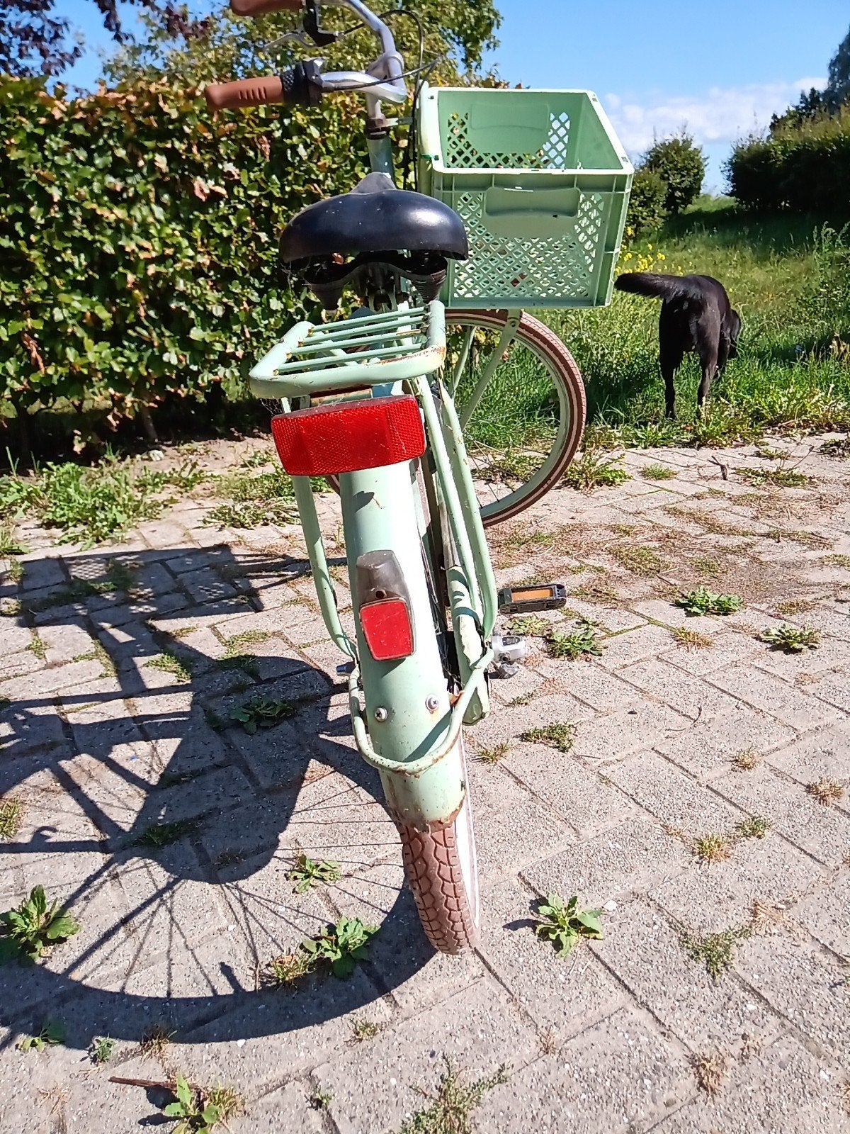 fiets meisje 22 inch popal, Fietsen en Brommers, Fietsen | Meisjes, Ophalen, Gebruikt, 22 inch, Versnellingen