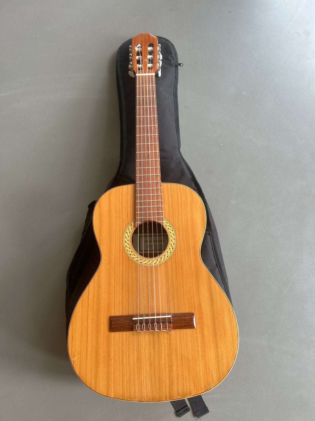 Juan Salvador 2C Cadet Klassieke Gitaar met hoes, Muziek en Instrumenten, Ophalen, Gebruikt, Klassieke of Spaanse gitaar, Met koffer