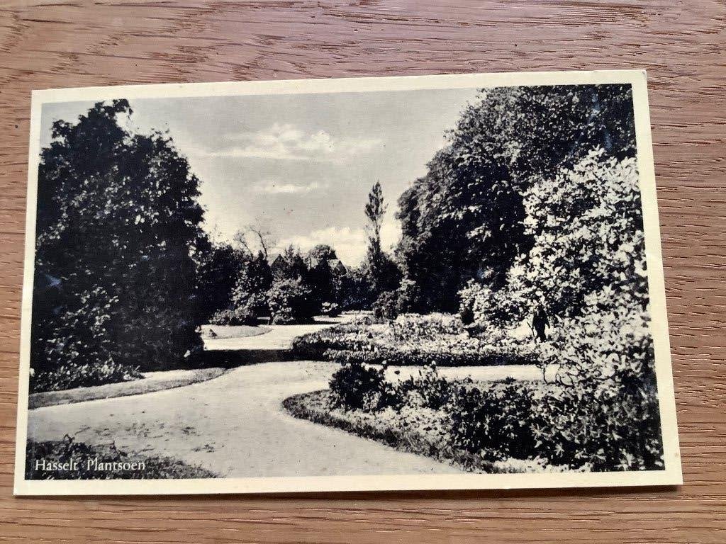 Hasselt, plantsoen, Ophalen of Verzenden, 1920 tot 1940, Overijssel