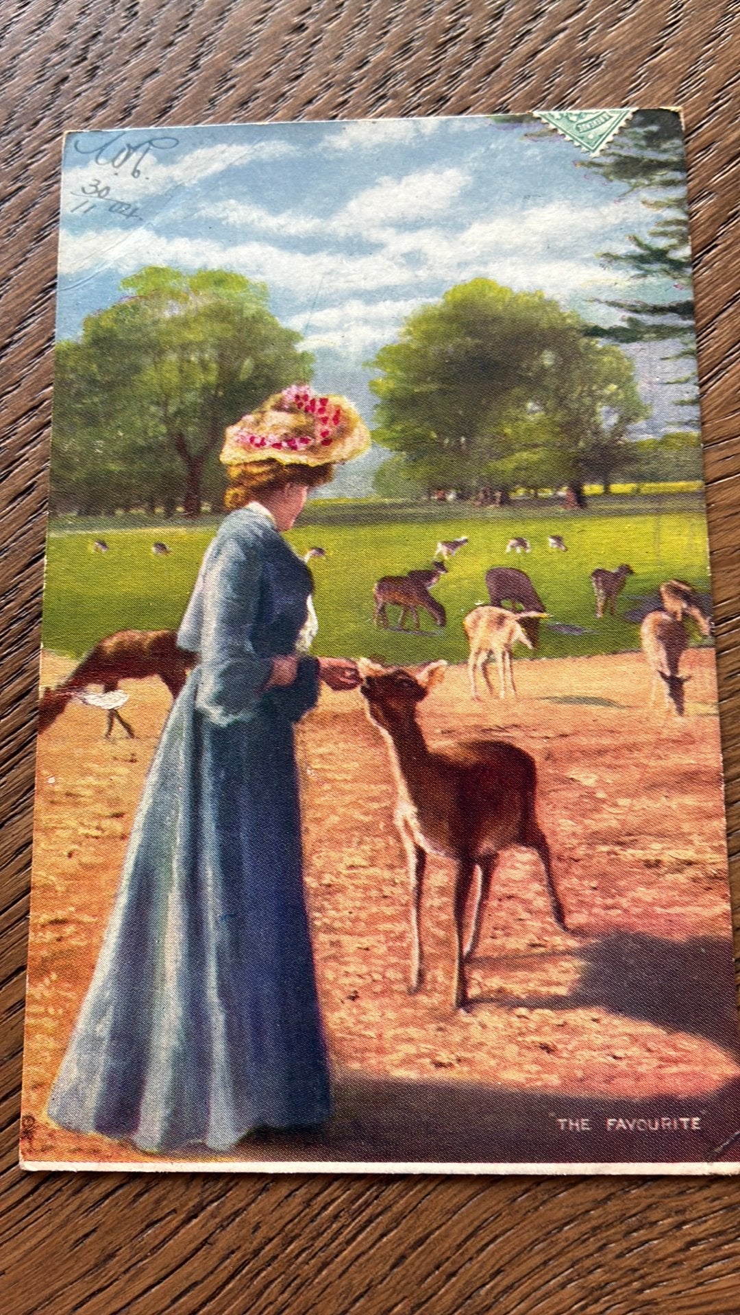 De favouriet. Vrouw voert hert. 1904, Ophalen of Verzenden, Voor 1920, Gelopen, Overige thema's