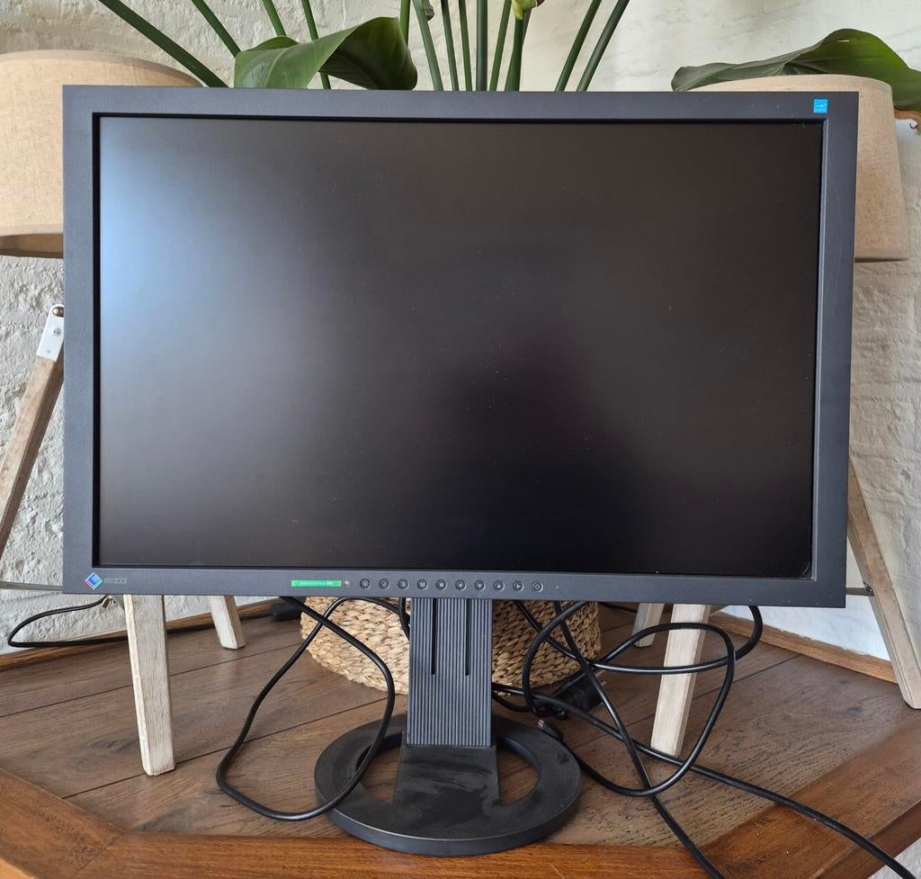 Eizo computerscherm 24,1 inch, Ophalen of Verzenden, 60 Hz of minder, Draaibaar, LED