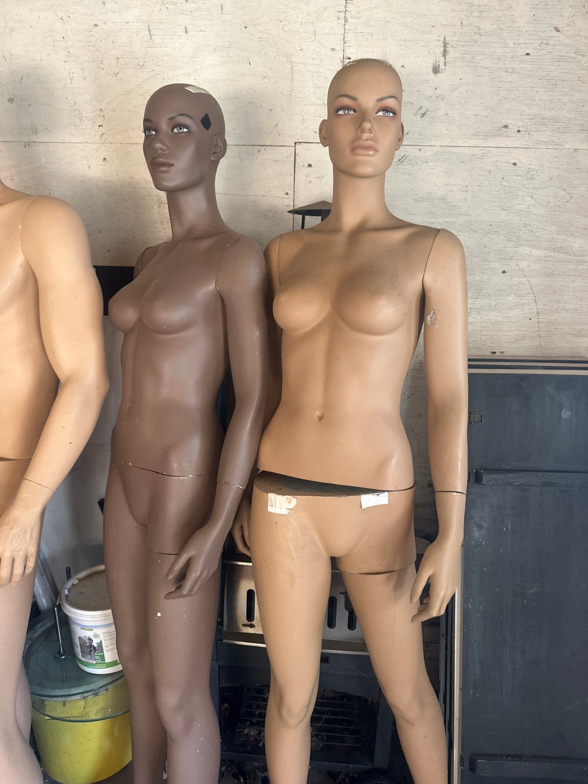 Complete Etalagepoppen met Standaards en Handen, Ophalen