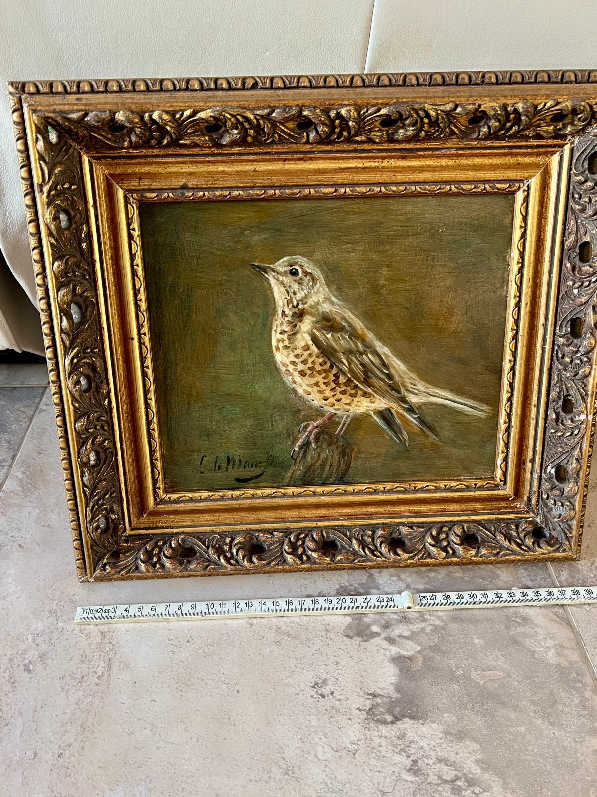 Lijster op paneel . Cornelis le Mair . Eindhoven . Olieverf, Antiek en Kunst, Ophalen